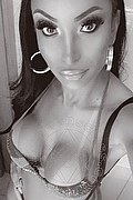 Alba Adriatica Trans Brunet 328 24 42 724 foto selfie 19
