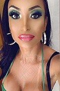 Alba Adriatica Trans Brunet 328 24 42 724 foto selfie 16