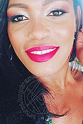 Napoli Trans Escort Naomy Tx 329 01 67 932 foto selfie 1
