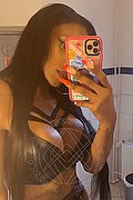 D�sseldorf Trans Escort Adhara  004915212409124 foto selfie 11