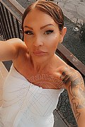 Treviso Trans Valeria 338 87 18 849 foto selfie 203