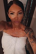 Treviso Trans Valeria 338 87 18 849 foto selfie 204