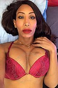 Mantova Trans Escort Gisella Evangelista 348 57 51 665 foto selfie 12