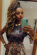 Roma Trans Paula Xxl  005511993416077 foto selfie 45