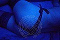 Vibo Valentia Trans Lucrezia Hikman 351 29 44 990 foto selfie 7