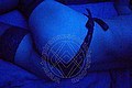 Vibo Valentia Trans Escort Lucrezia Hikman 351 29 44 990 foto selfie 7
