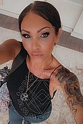 Treviso Trans Valeria 338 87 18 849 foto selfie 196