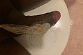 Firenze Trans Escort Bruna Ferragni 338 59 31 655 foto selfie 206