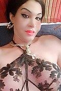 Padova Trans Rosa Xxxl 328 74 36 345 foto selfie 59