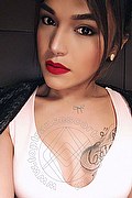 Genova Trans Escort Mia Asiatica 388 40 86 105 foto selfie 14
