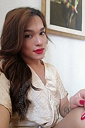 Genova Trans Escort Mia Asiatica 388 40 86 105 foto selfie 11