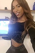 Roma Trans Leonna Pantera 331 17 01 971 foto selfie 25