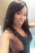 Roma Trans Leonna Pantera 331 17 01 971 foto selfie 34