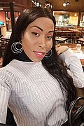Roma Trans Leonna Pantera 331 17 01 971 foto selfie 19