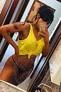 Vercelli Trans Escort Nicole Moraes 388 75 17 090 foto selfie 42