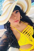 Rho Trans Escort Nicole Moraes 388 75 17 090 foto selfie 28