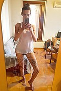 Asti Trans Escort Amanda Sanchez 353 38 58 877 foto selfie 17