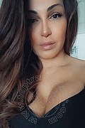 Marcon Trans Divina 345 21 76 121 foto selfie 13