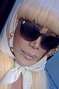 Milano Trans Escort Nicole Vip Venturiny 353 35 38 868 foto selfie 742