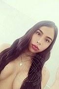 Vicenza Trans Escort Sara Efrons 328 93 77 943 foto selfie 58