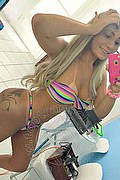 Curitiba Trans Giselle Sakai  00554197484988 foto selfie 14