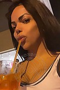 Milano Trans Escort Milena Miranda 388 63 10 811 foto selfie 46
