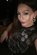 Verona Trans Ruby Asiatica 366 48 28 897 foto selfie 55