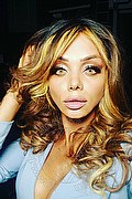 Lucca Trans Escort Veronika Havenna Pornostar 392 83 57 621 foto selfie 40