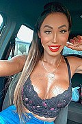 Desenzano Del Garda Trans Escort Thayys Castro 329 72 89 046 foto selfie 80