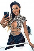 Gallarate Trans Thayys Castro 329 72 89 046 foto selfie 58