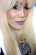 Milano Trans Escort Nicole Vip Venturiny 353 35 38 868 foto selfie 719