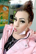 Rimini Trans Escort Chiara Italiana 379 12 33 337 foto selfie 27