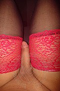 Genova Trans Sara Pornostar 347 85 52 861 foto selfie 73