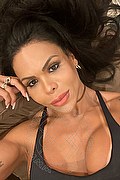 Milano Trans Escort Eva B 320 03 97 565 foto selfie 50