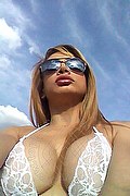 Bologna Trans Escort Cherry 388 98 43 190 foto selfie 1