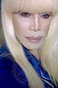 Milano Trans Escort Nicole Vip Venturiny 353 35 38 868 foto selfie 717
