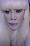 Milano Trans Escort Nicole Vip Venturiny 353 35 38 868 foto selfie 712
