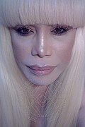 Milano Trans Escort Nicole Vip Venturiny 353 35 38 868 foto selfie 711