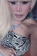 Milano Trans Escort Nicole Vip Venturiny 353 35 38 868 foto selfie 707