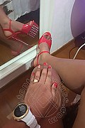 Sesto San Giovanni Trans Tatiana Amorin 320 14 16 048 foto selfie 7