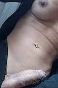 Milano Trans Marzia Sexy 389 14 41 497 foto selfie 46