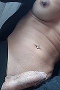 Milano Trans Escort Marzia Sexy 389 14 41 497 foto selfie 49