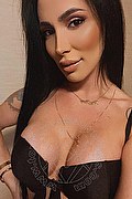 Pisa Trans Escort Barbara Pink 388 93 25 334 foto selfie 2