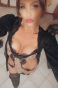 Treviso Trans Valeria 338 87 18 849 foto selfie 113