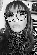 Treviso Trans Valeria 338 87 18 849 foto selfie 161