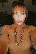Treviso Trans Valeria 338 87 18 849 foto selfie 156