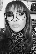 Treviso Trans Escort Valeria 338 87 18 849 foto selfie 160