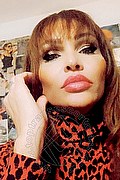 Treviso Trans Escort Valeria 338 87 18 849 foto selfie 158