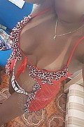 Genova Trans Escort Lana Xxl 328 25 61 364 foto selfie 16