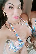 Padova Trans Escort Rosa Xxxl 328 74 36 345 foto selfie 57